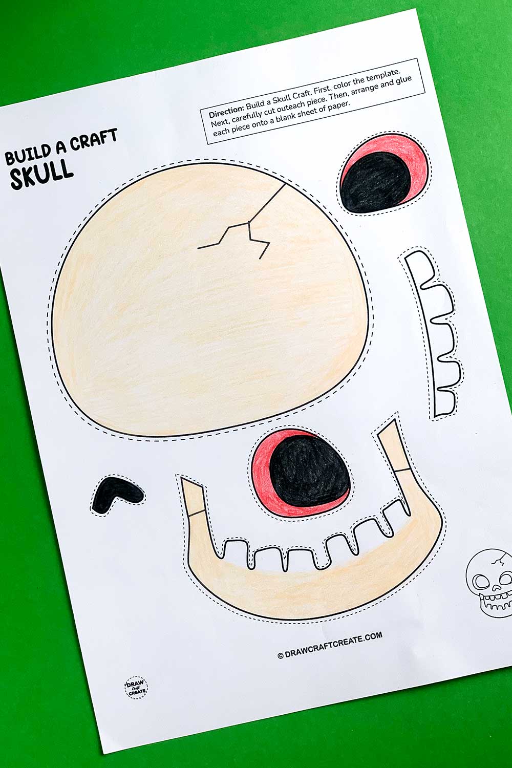 Free Printable Build A Skull Craft