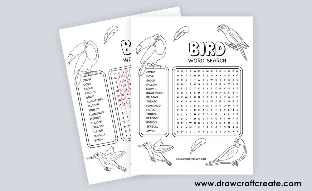 bird word search answer
