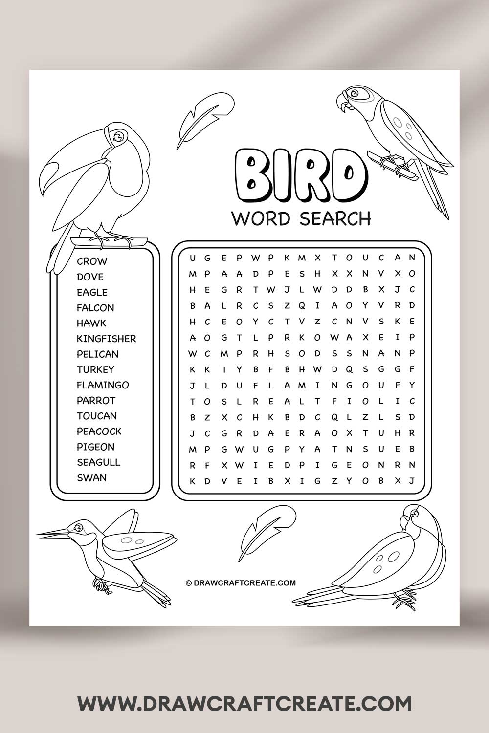 bird word search
