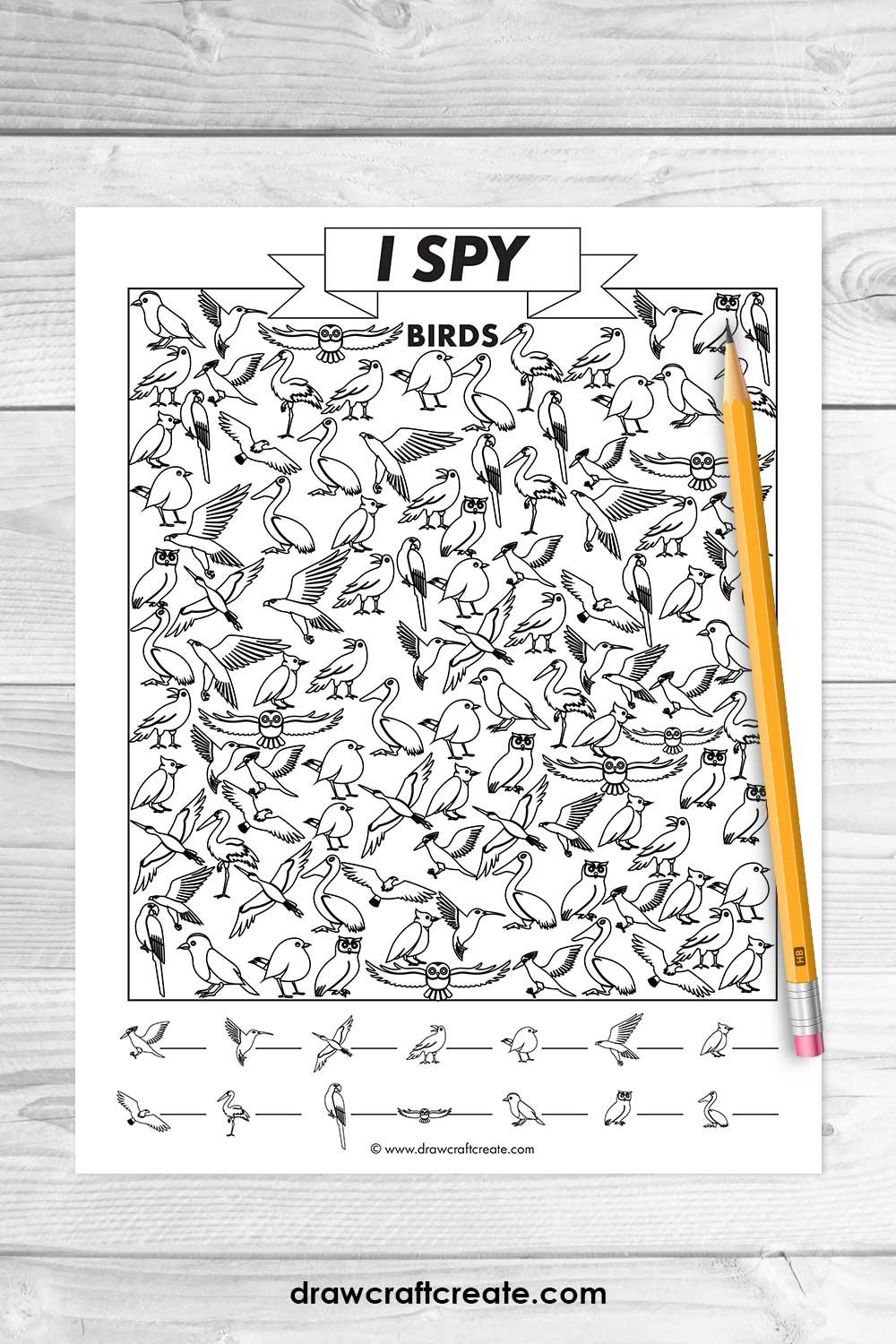 i spy birds