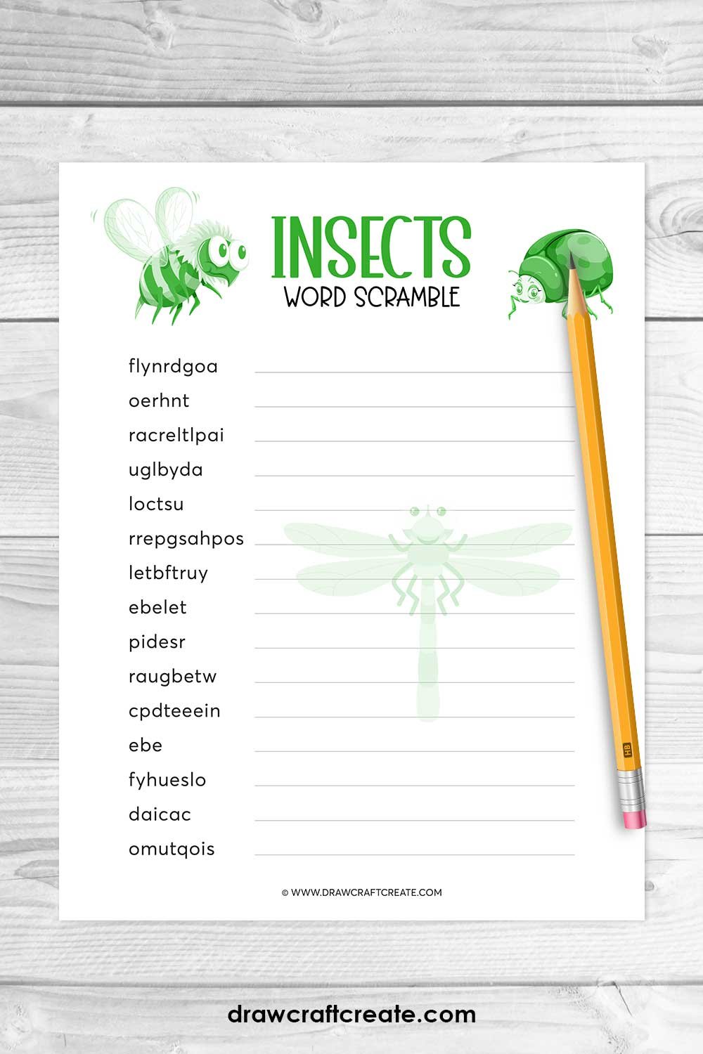 insects word scramble