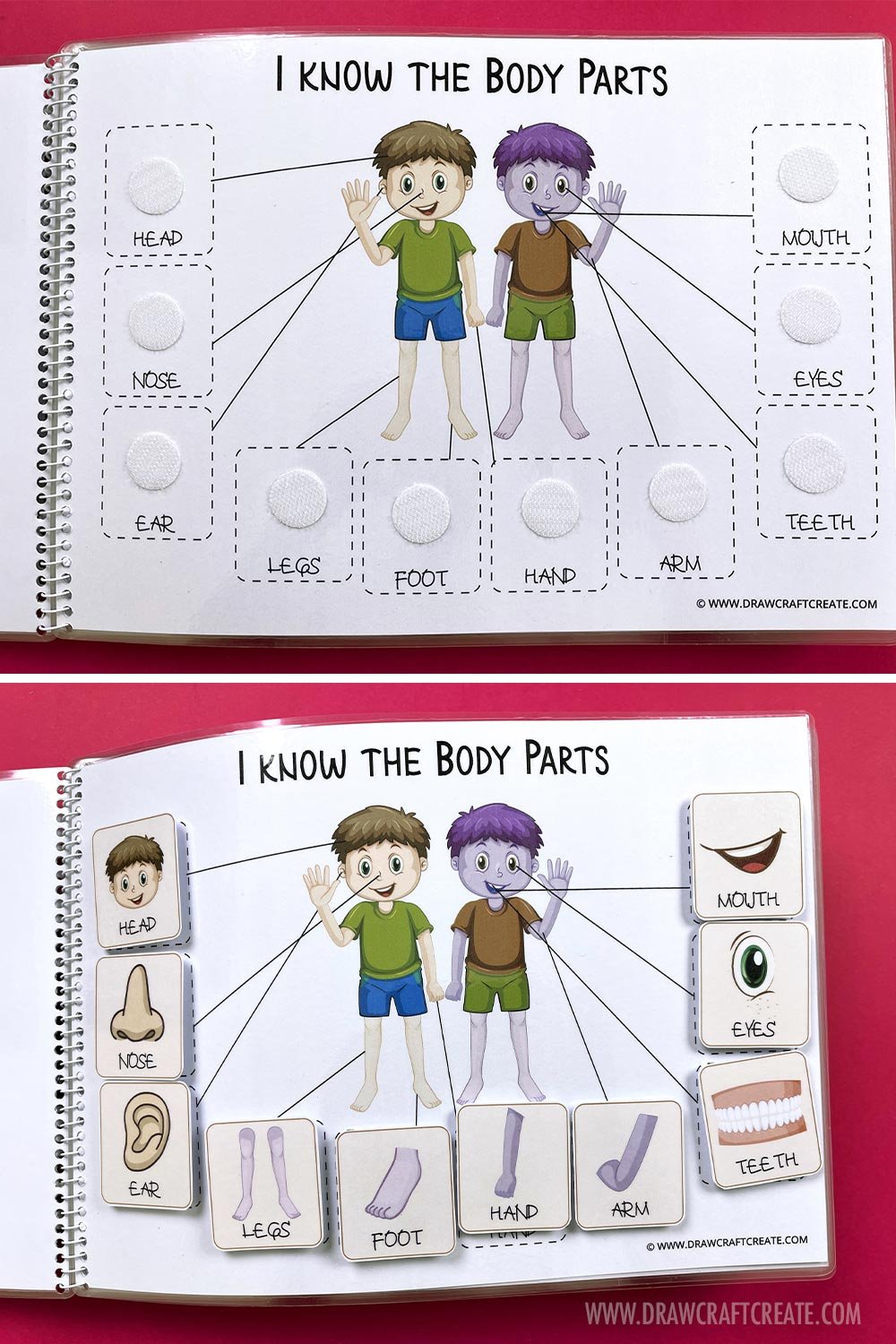 i know the body parts